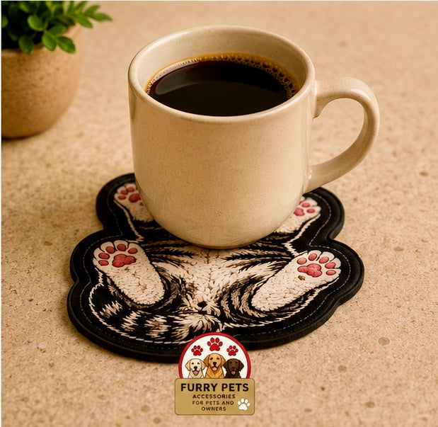 Lazy Kitty Acrylic Coaster | Cat Lovers Cup & Mug Coaster set of 3